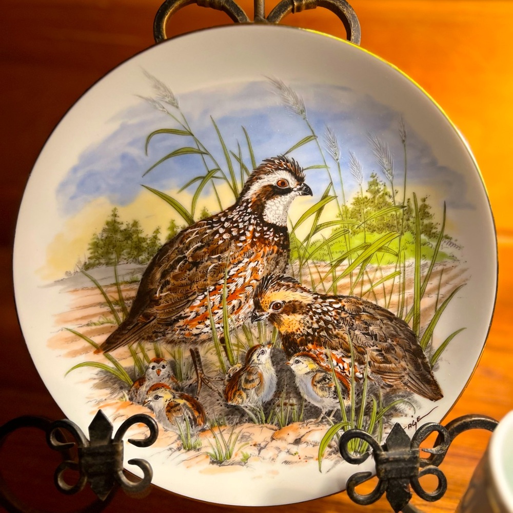 Southern Living Gallery Game Birds of the South set